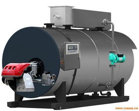 卧式冷凝常压热水锅炉与LNG低温常压储罐 核心技术、厂家概览与市场展望